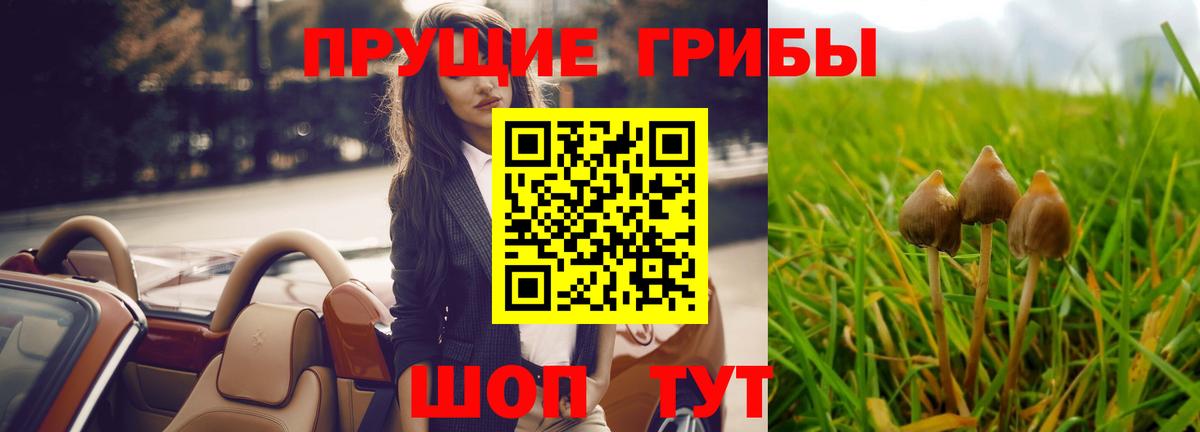 Галлюциногенные грибы мухоморы Удомля