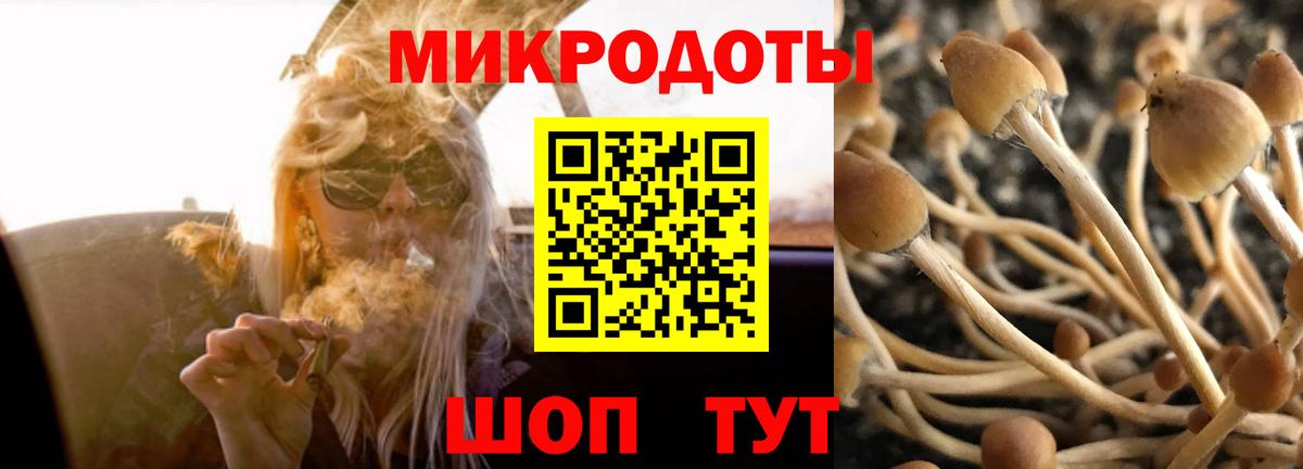 Псилоцибиновые грибы прущие грибы  Галлюциногенные грибы Cubensis  Вход с VPN  Удомля 